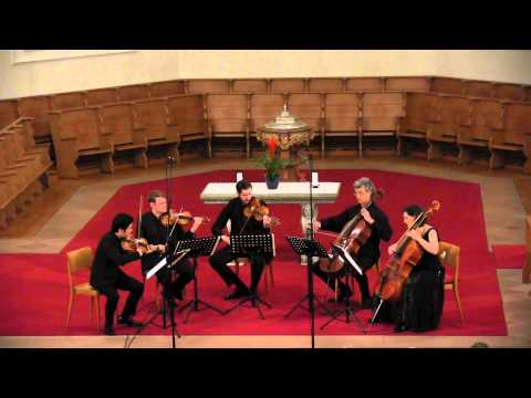 TRAILER: Schubert Quintett - Stradivari Quartett & Thomas Demenga