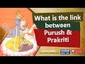 What is the link between Purush and Prakriti?