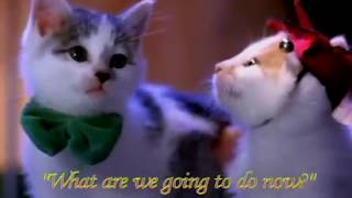 Fatboy Slim - The Joker [Official Music Video]