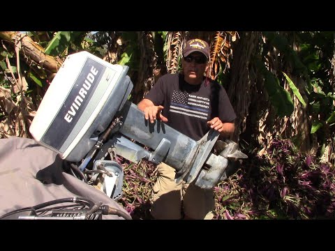 Evinrude water pump replacement