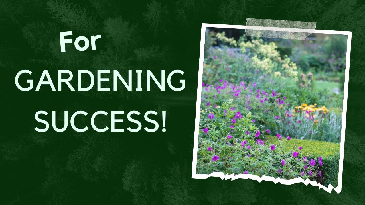 Gardening for Beginners Easy Tips