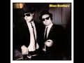 The Blues Brothers   Briefcase Full Of Blues Full Album