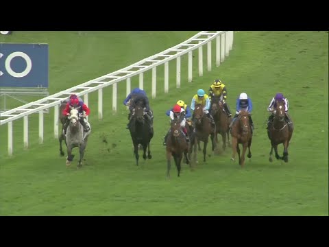 2017 Qipco Champion Stakes - Cracksman - Racing TV