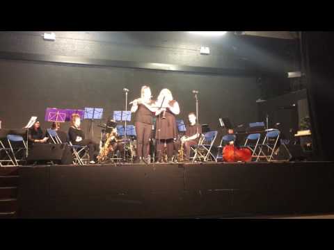 AUMS Spring Concert 2017: Euphonic Sounds