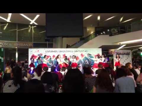 Ily cover I.O.I - Dream girls