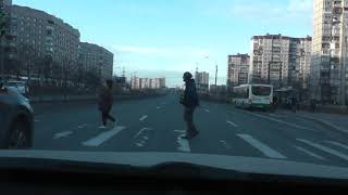 Ядовитая весна на Дорогах Питера.