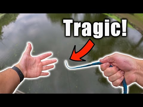 Magnet Fishing The Site Of A Tragedy