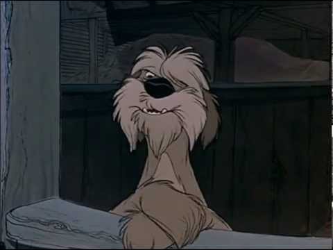 15 ciccioli macchiati rapiti! - La Carica Dei 101