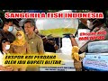 Ikan Hias Yang Di Teliti Dalam Eksport Dan Import Ikan
