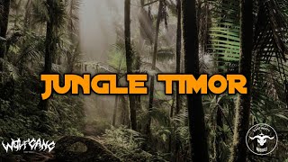 Download lagu JUNGLE TERROR TIMOR - ORIGINAL MUSIC ( ALDO KAMS ) mp3