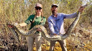 Hand Catching 10 Foot Python in Florida Swamp!
