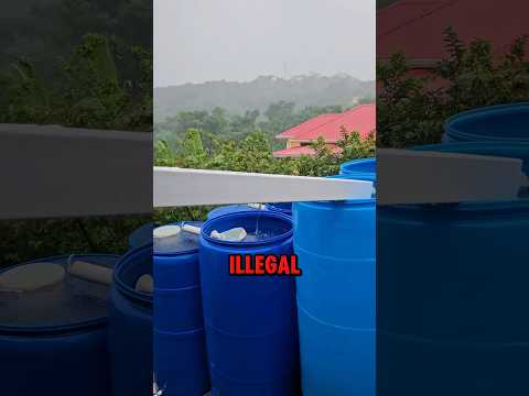 Why Collecting Rainwater Is Illegal (📸: ellimejn)