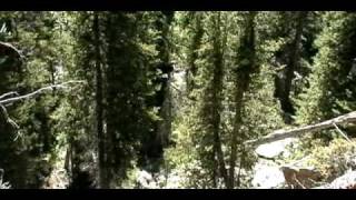 preview picture of video 'Fancy Creek Trail, Holy Cross Wilderness, Colorado'