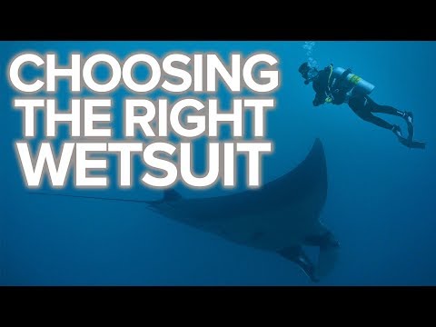Choosing The Right Wetsuit