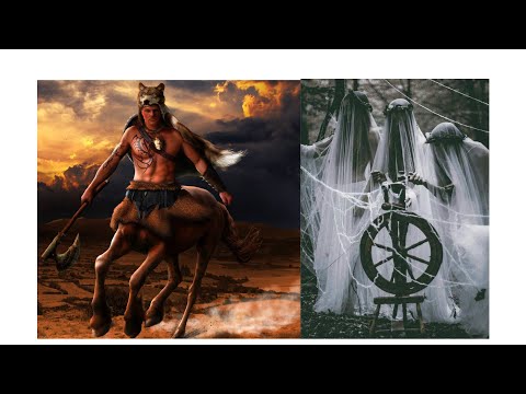 Percy Jackson Diebe Im Olymp Kapitel 2