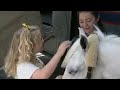 Kidsongs TV Show Season 3 Episode 20 They Raise Horses Don T They