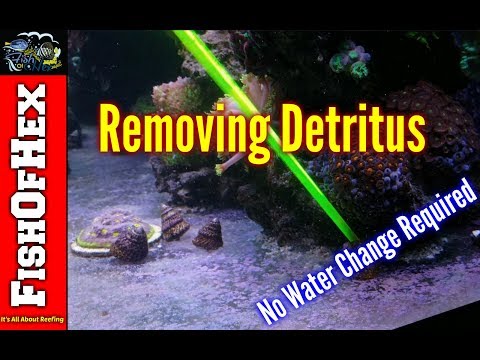 Two Methods Of Remove Detritus Without Doing A Water Change