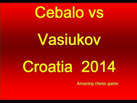 Cebalo vs Vasiukov Croatia - 2014
