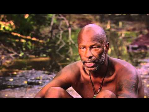 Phillip's Professional Opinion