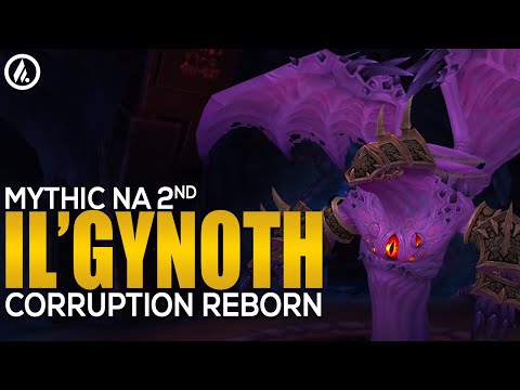 Big Dumb Guild VS Il'gynoth NA SECOND Blood DK POV - Mythic Ny'alotha
