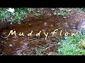 Bing Futch - Muddyflow - Mountain Dulcimer