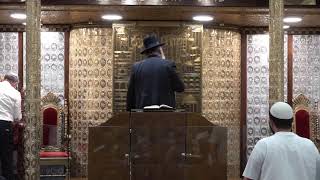 שידור חי מאשדוד | שיעור מיוחד לכבוד ל"ג בעומר עם מו"ר הרב ישראל אברג'ל שליט"א