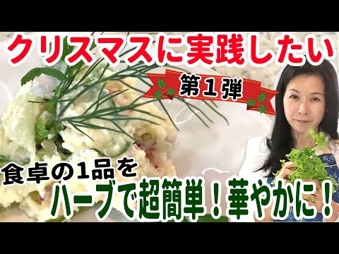 医療ビジネス薬科学科 クリスマスをより華やかに！超簡単！すぐに実践できるハーブ活用術！【第１弾　惣菜にぴったりハーブ3選】