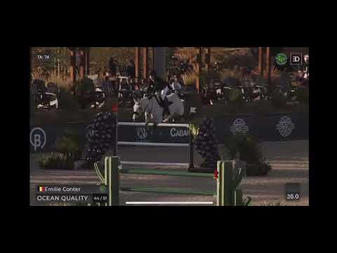 SX Ocean Quality - 145cm - Thermal, CA