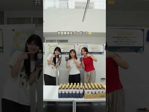 国際社会学科 open campus2025　#共愛学園前橋国際大学