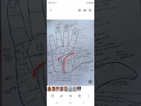 Palmistry In English