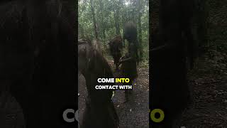Download lagu The tribe that time forgot! mp3 Download lagu The tribe that time forgot! mp3