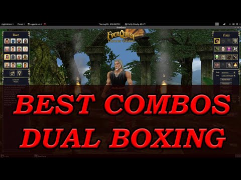 Best Combos for Dual Boxing in Everquest on TLP