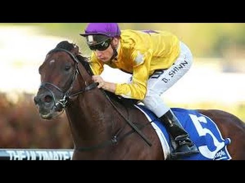 2016 BTC  Doomben Cup