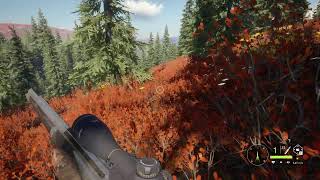 テストもかねて鹿狩りに行こう！！[the Hunter]