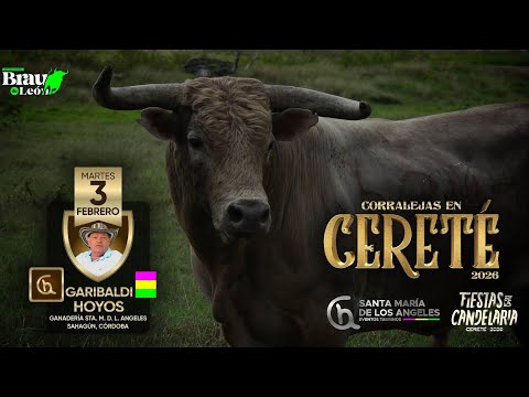 GANADERÍA SANTA MARIA DE LOS ANGELES | CERETE CÓRDOBA 2026