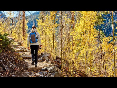 download lagu mp3 mp4 Wellness Retreat Massachusetts, download lagu Wellness Retreat Massachusetts gratis, unduh video klip Wellness Retreat Massachusetts