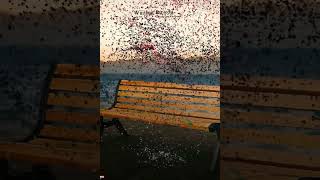 photos edit reel trending reels and famous reels editing particles disappear effect#reels #viral