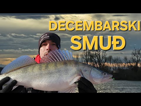 PECANJE SMUĐA × JIGGING FOR ZANDER         (lep decembarski dan)
