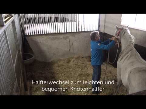 MUSTANG MAKEOVER 2018 // Update 1 TAG 4023 - Ankunft bei Birger Gieseke