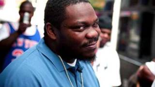 Beanie Sigel - Im Not Your Average Cat (Jay-Z Diss)