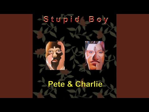 Stupid Boy (Punxsoundcheck Remix)