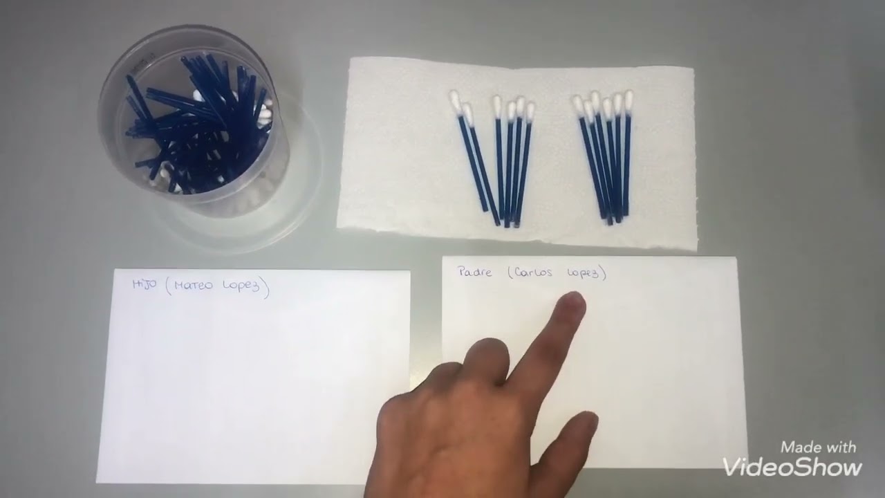 Watch PRUEBA DE ADN A DISTANCIA PASO A PASO 🧬 Now PRUEBA DE ADN A DISTANCIA PASO A PASO 🧬