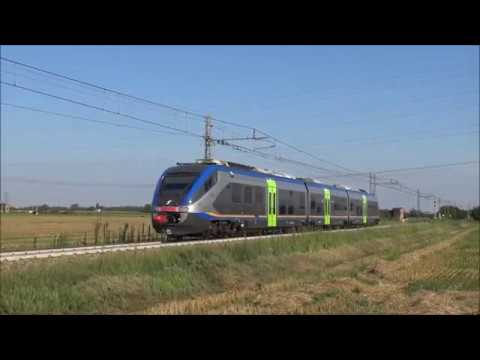 MINUETTO D.+ MINUETTO E. IN TRANSITO A VIGNALE (NO) GIOV. 19 - 7 - 2018