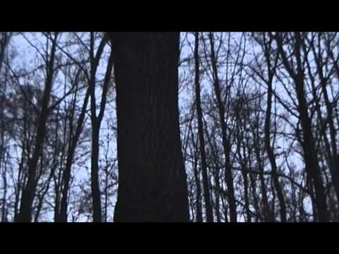 Pelerinaj la Manastirea PRISLOP (noiembrie 2010)