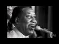 Muddy Waters - Garbage Man - Live Sydney University 1973