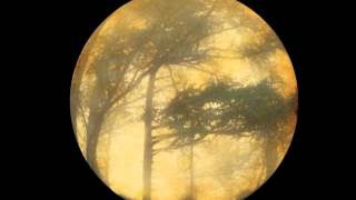 Golden Void - Storm And Feather