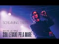 Screaming Trees - Before We Arise (Legendado em Português)