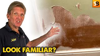 Paint Flaking But No Damp? Here's the Real Problem