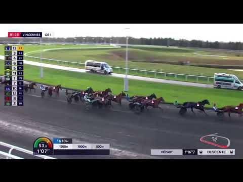 Prix Tenor De Baune Gr1 - Amerique Q4 2024 - Just Love You & Alexandre Abrivard 1.12,1 2700m