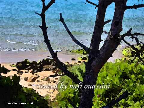 dalia playa c'est magnifique por nafi ouassini